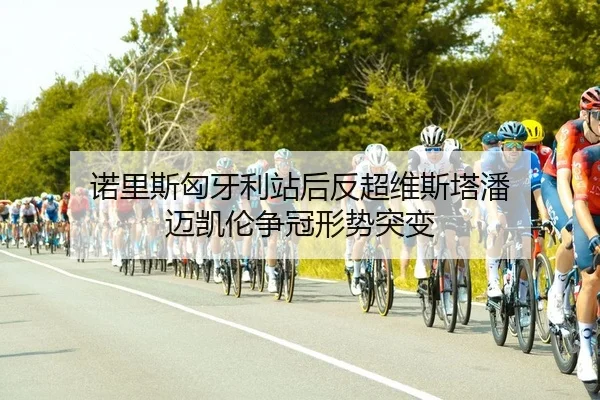诺里斯匈牙利站后反超维斯塔潘 迈凯伦争冠形势突变