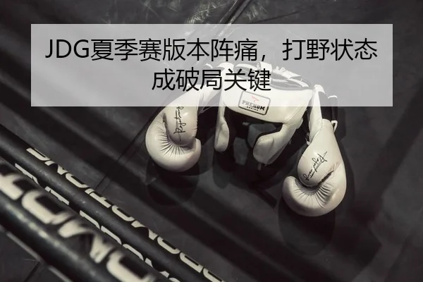 JDG夏季赛版本阵痛，打野状态成破局关键