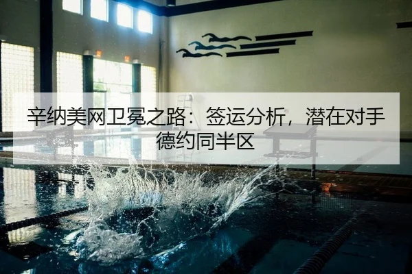 辛纳美网卫冕之路：签运分析，潜在对手德约同半区